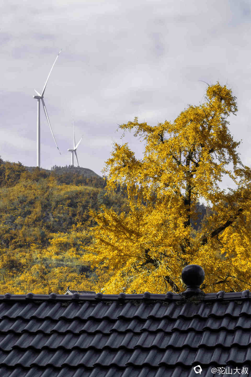 DSC04351-0 - 副本.jpg