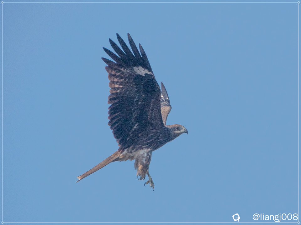 DSC02477_副本.jpg