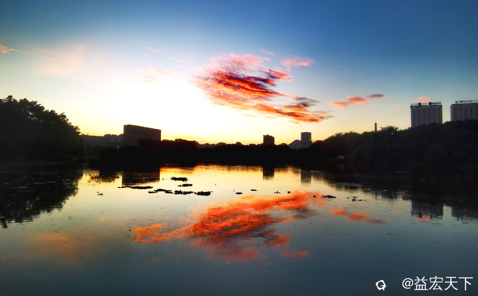 鱼跃水天