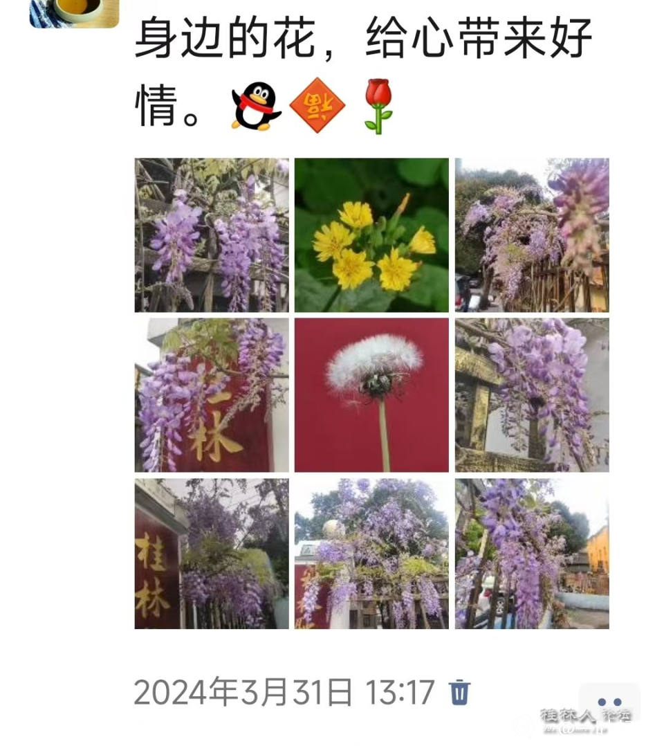 微信图片_20250102153856.jpg