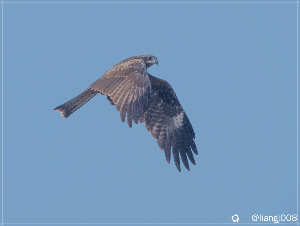 DSC02470_副本.jpg
