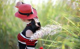 时光静美，秋日芒草