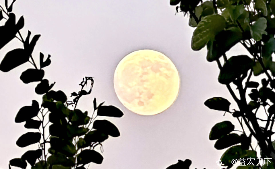 IMG_20260925_182457.jpg