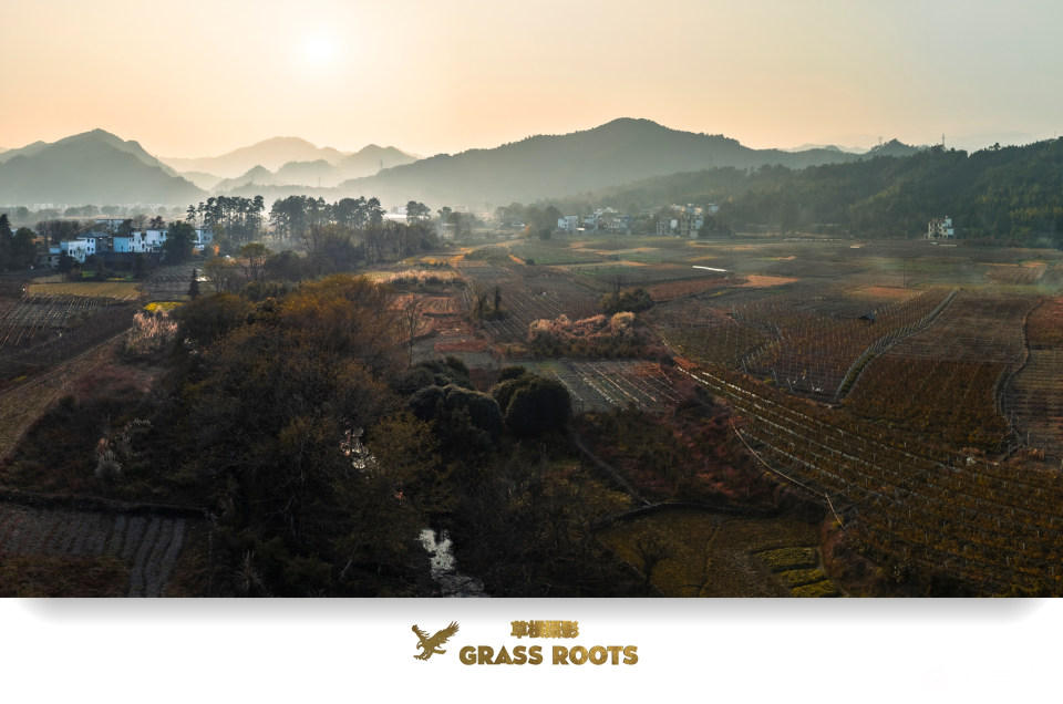 DJI_0487-HDR 全景图_1_副本.jpg