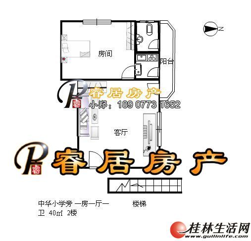 T �л�+����˫ѧ����һ���ӵ�ѧУ������� �����л�Сѧ�� 1��1�� 2¥  38��