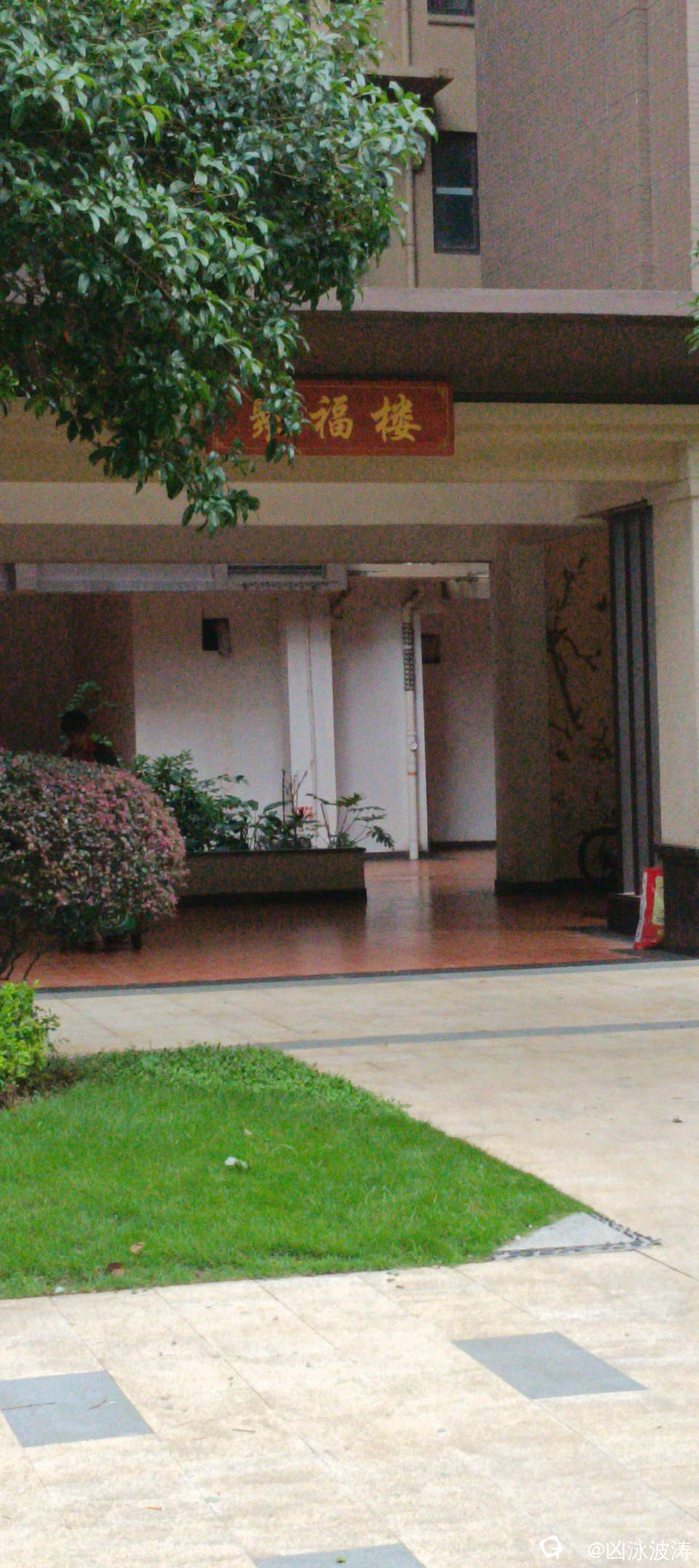 8beee443-41ac-258b-9125-c01bafd5c51e.jpg
