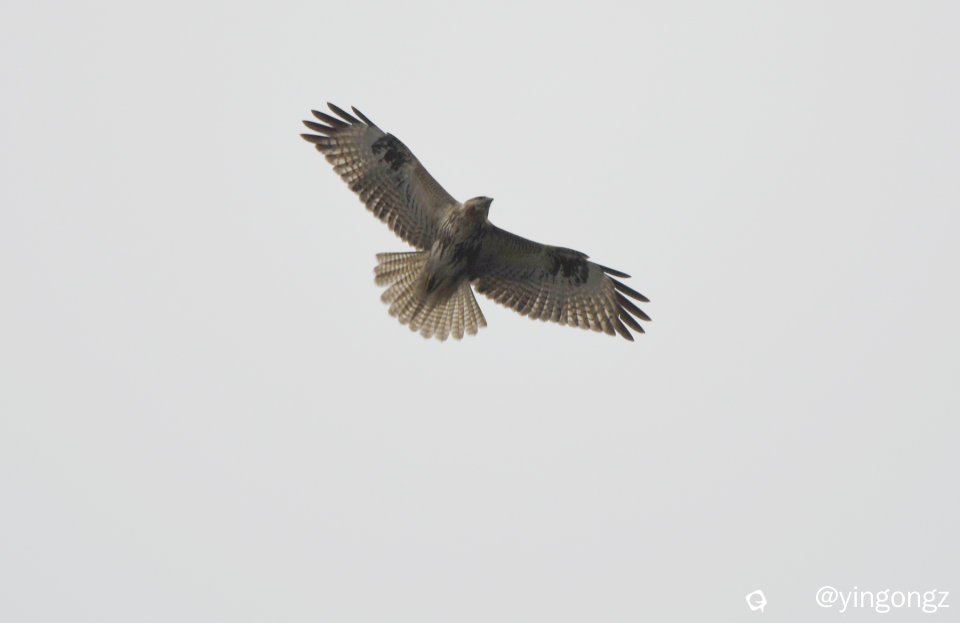 DSC_3596_副本.jpg