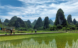 梦中乡村景象