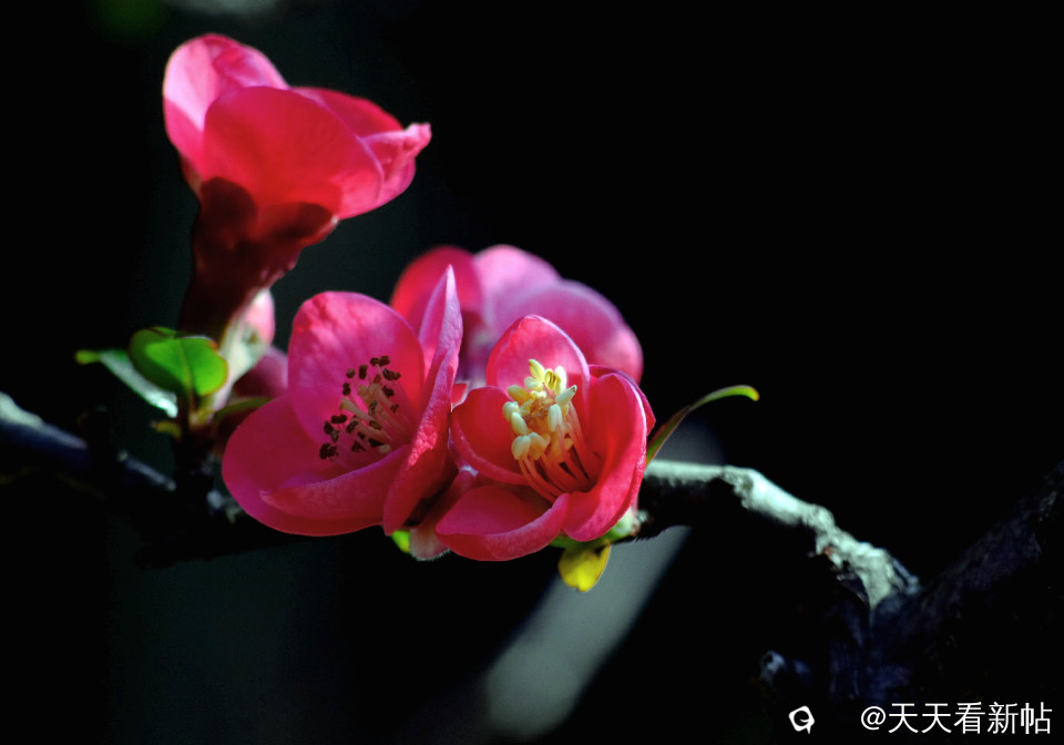 DSCF2232_副本.jpg