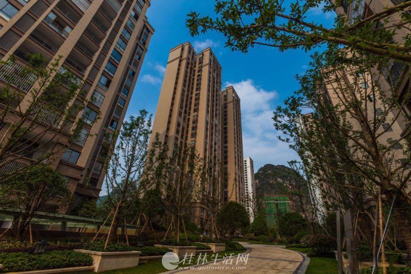 �����ٹ����������Ľ�ˮ·��Сѧ������һ�ļ�һ���ڲ��Ź���