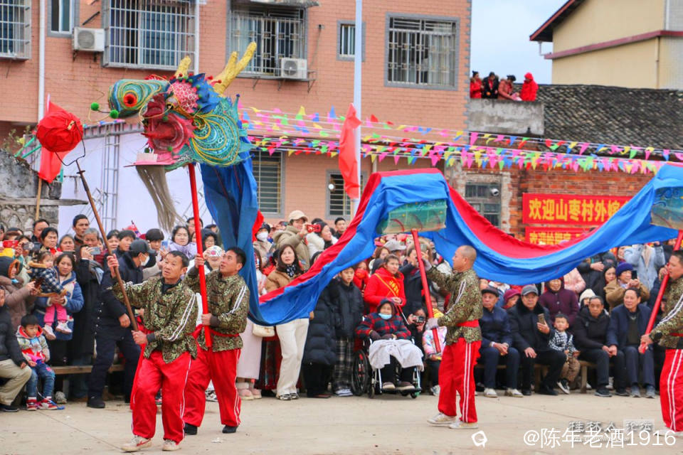龙灯巡游 (2).jpg