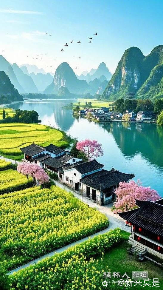 u=4276767266,57221603&fm=253&app=138&f=JPEG_看图王.jpg