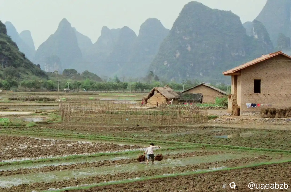 1989年的桂林，由外国摄影人David G拍摄，桂林山水甲天下，群峰耸立，阡陌纵横，一位农家女挑着筐走在水田 ...