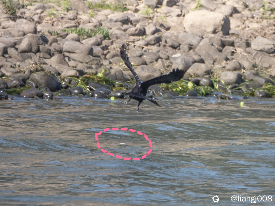 DSC08621_副本.jpg