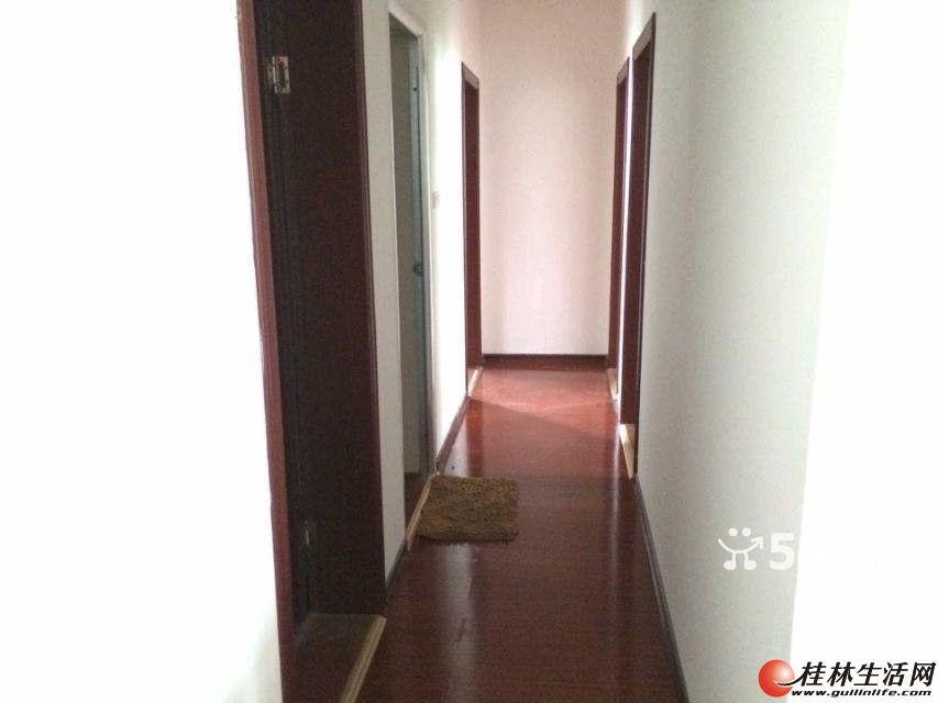 LL���������԰x 4�� ��װ��3200/��