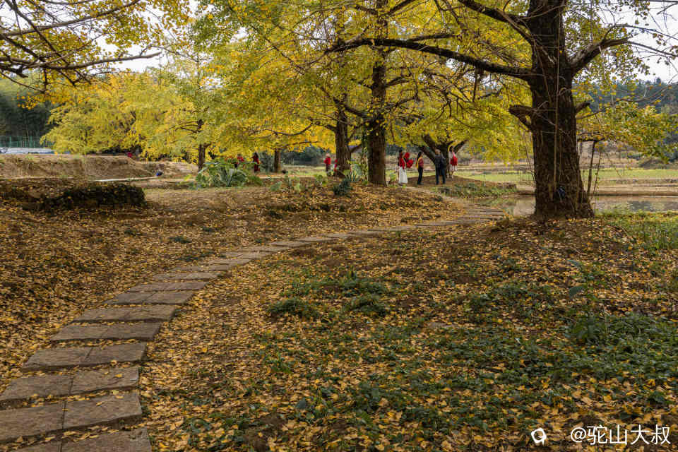 DSC04206-0 - 副本.jpg