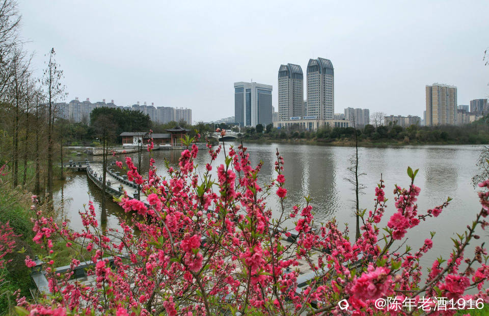 DJI_0908-01_副本.jpg