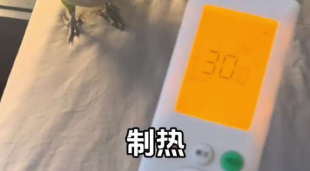 主人睡覺睡到一半被熱醒，發現空調被鸚鵡啄成制熱模式