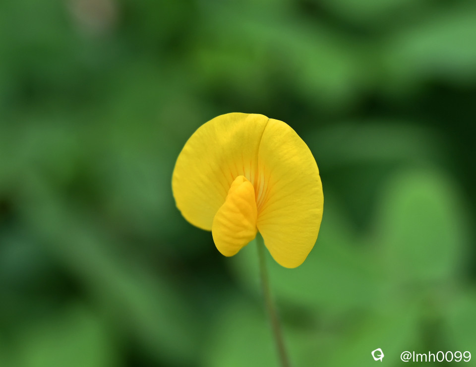 DSC_7833_副本.jpg