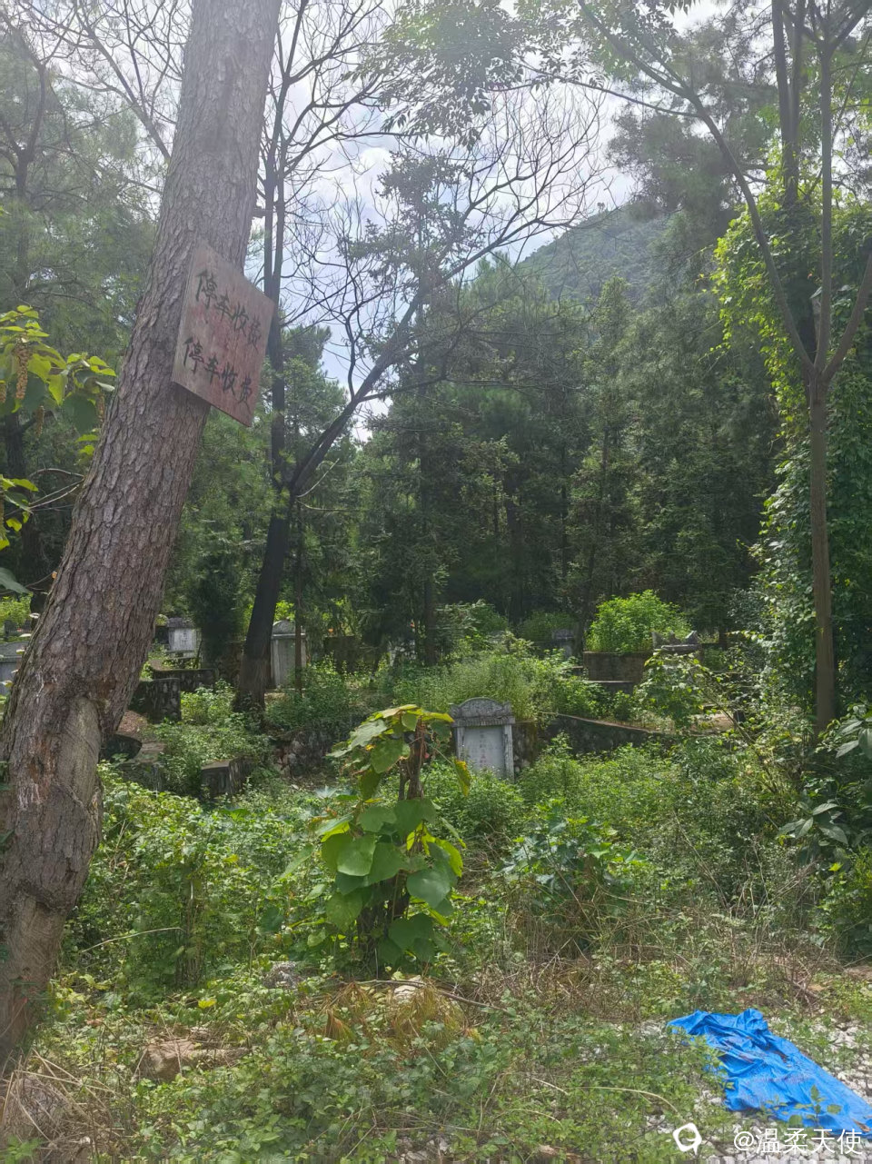 微信图片_20260726170948_7_10.jpg