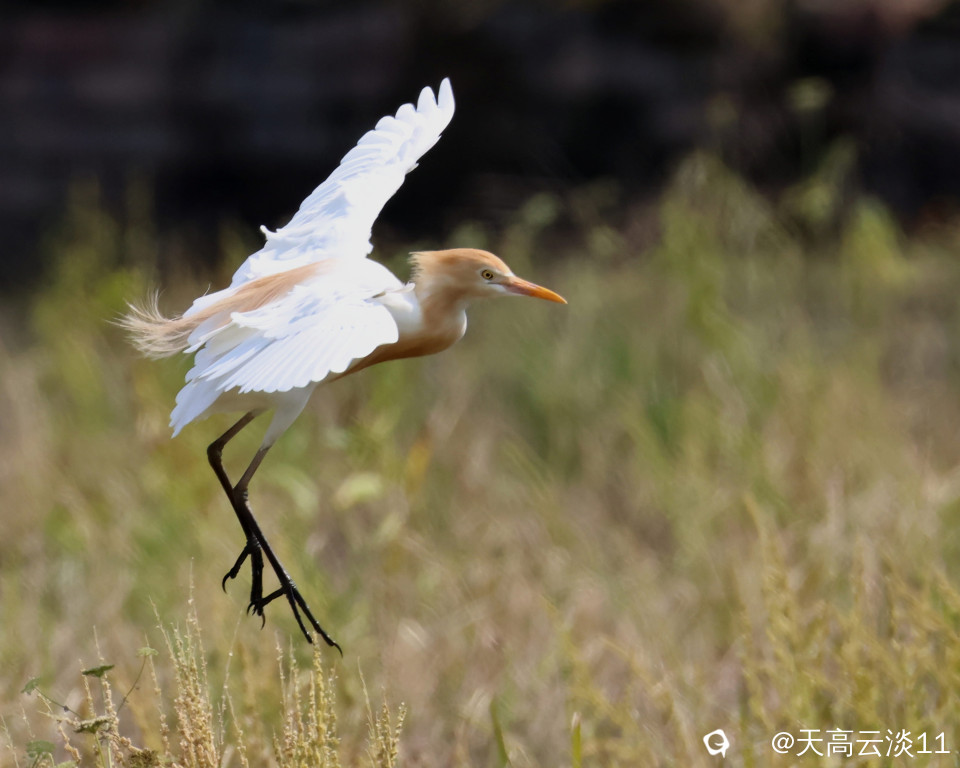 5D2A5748_副本.jpg