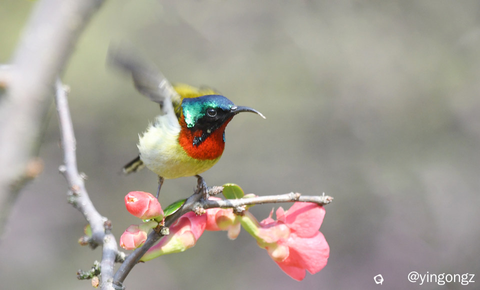 DSC_6384_副本-1.jpg