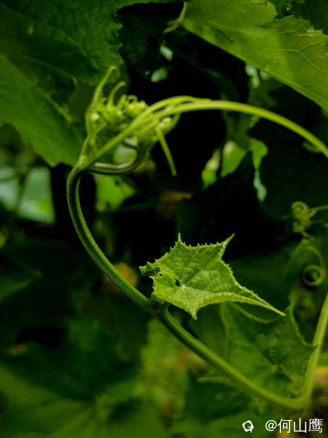 bc4c614e-56ed-5478-f4c7-07b0a425fefb.jpg