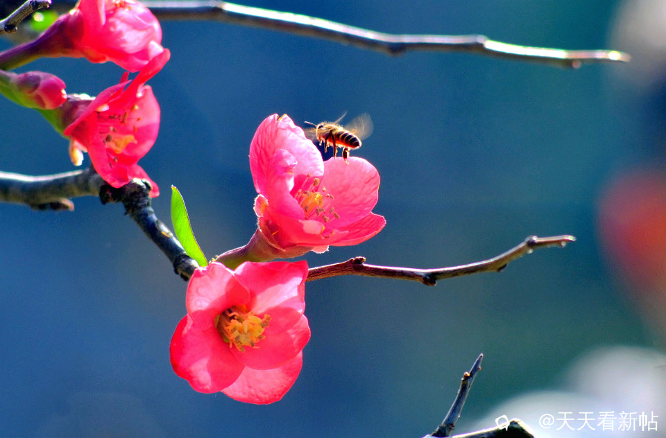 IMG_20240212_211228_副本.jpg