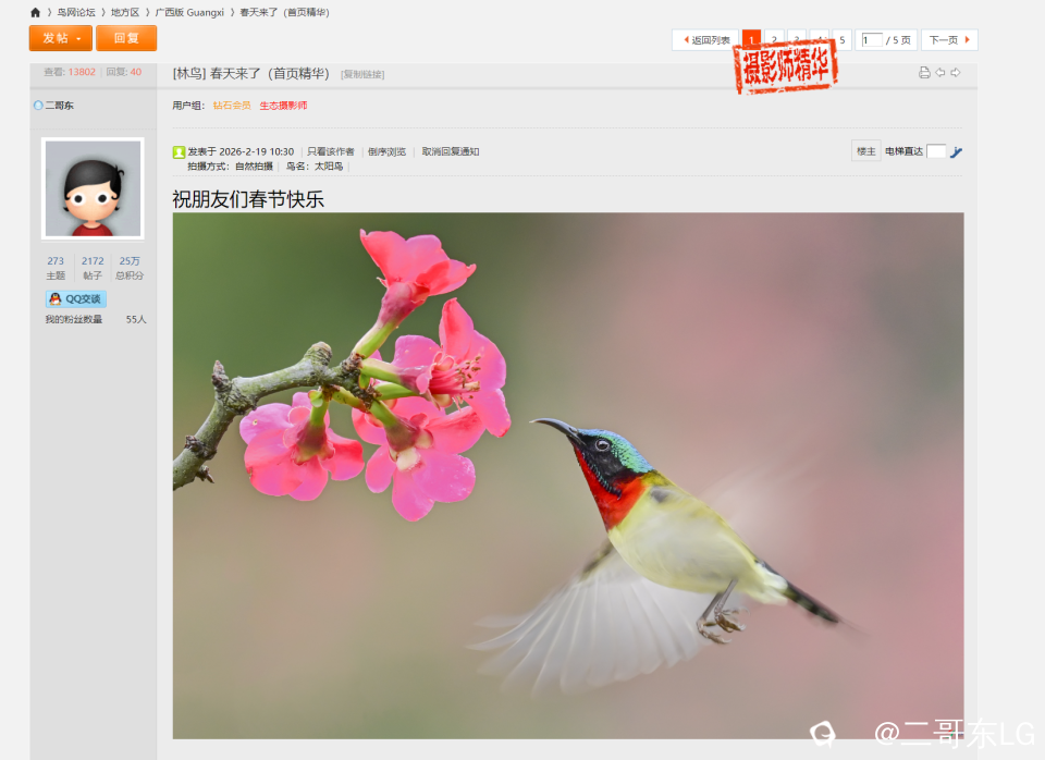 20260219广西版摄影师精华.png
