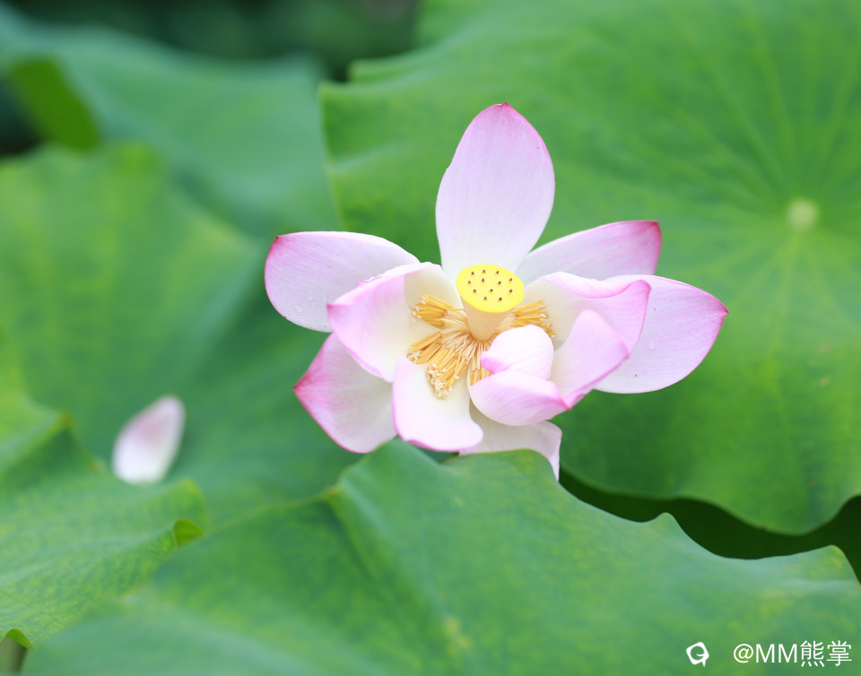 d1060377-08d8-bb5f-d6fe-f16f6d5c4dc4.jpg