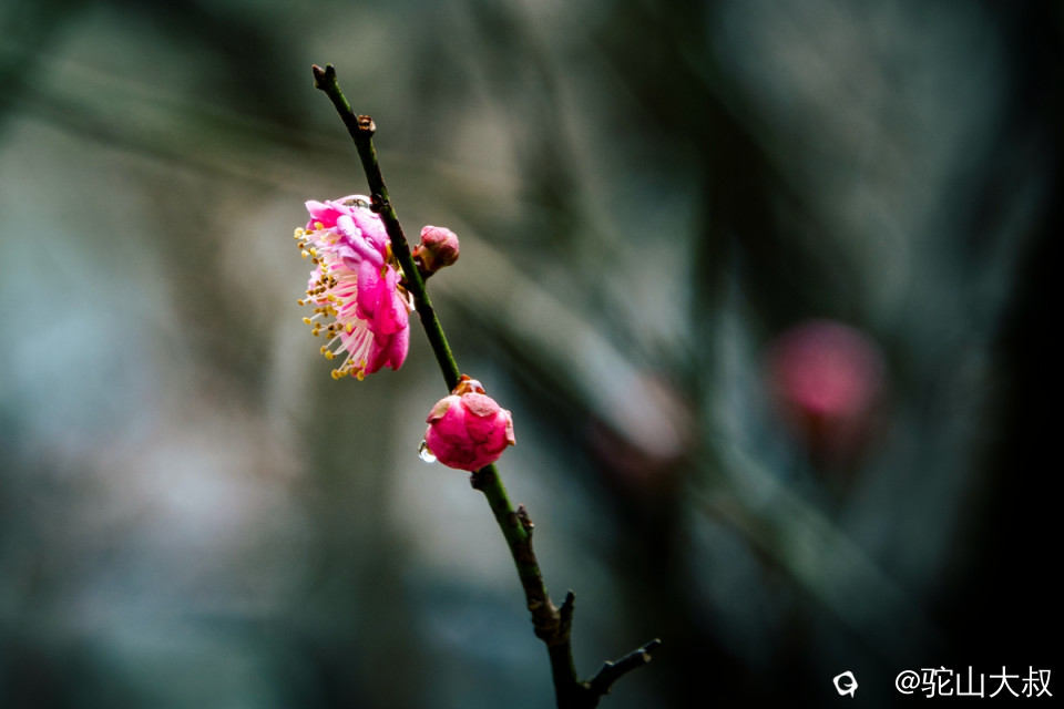 DSC04710-0 - 副本.jpg