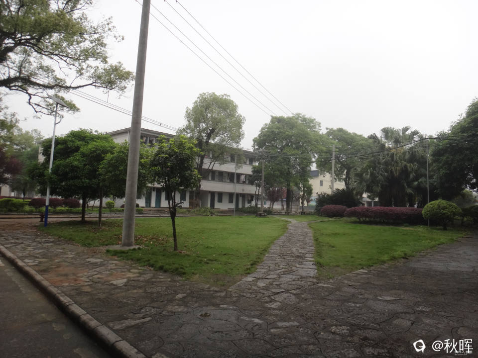 DSC08211.JPG