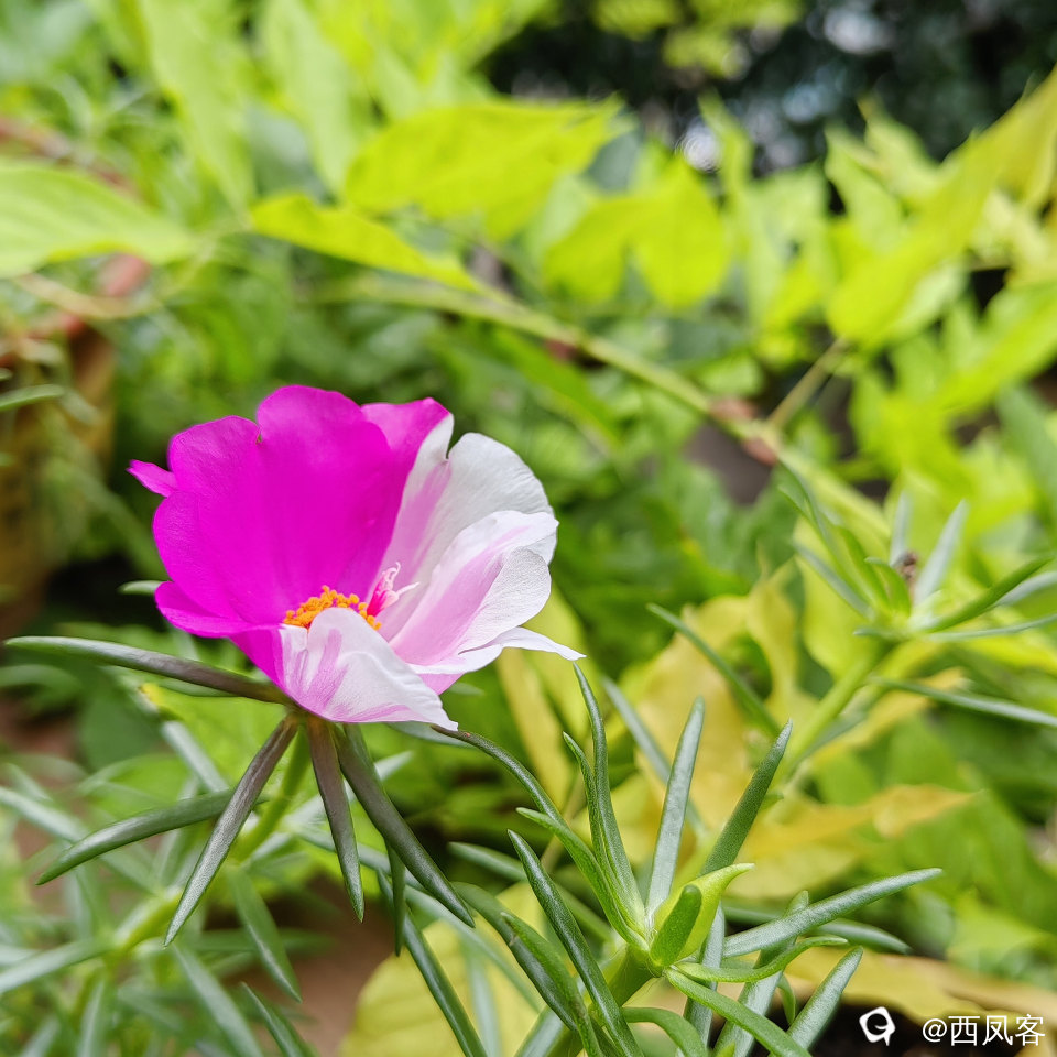 41430bf7-57c8-439a-5fc0-90ab8e03fcaf.jpg