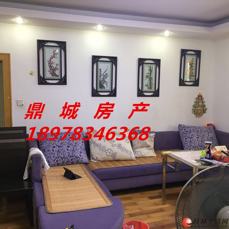 ����꡾���С����3��2��2�� 122�O ��װ�� 55����ϡȱ���� �Լ۱ȸ�