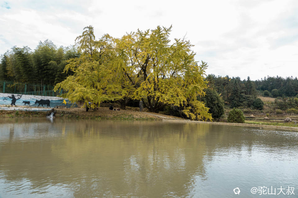 DSC04220-0 - 副本.jpg