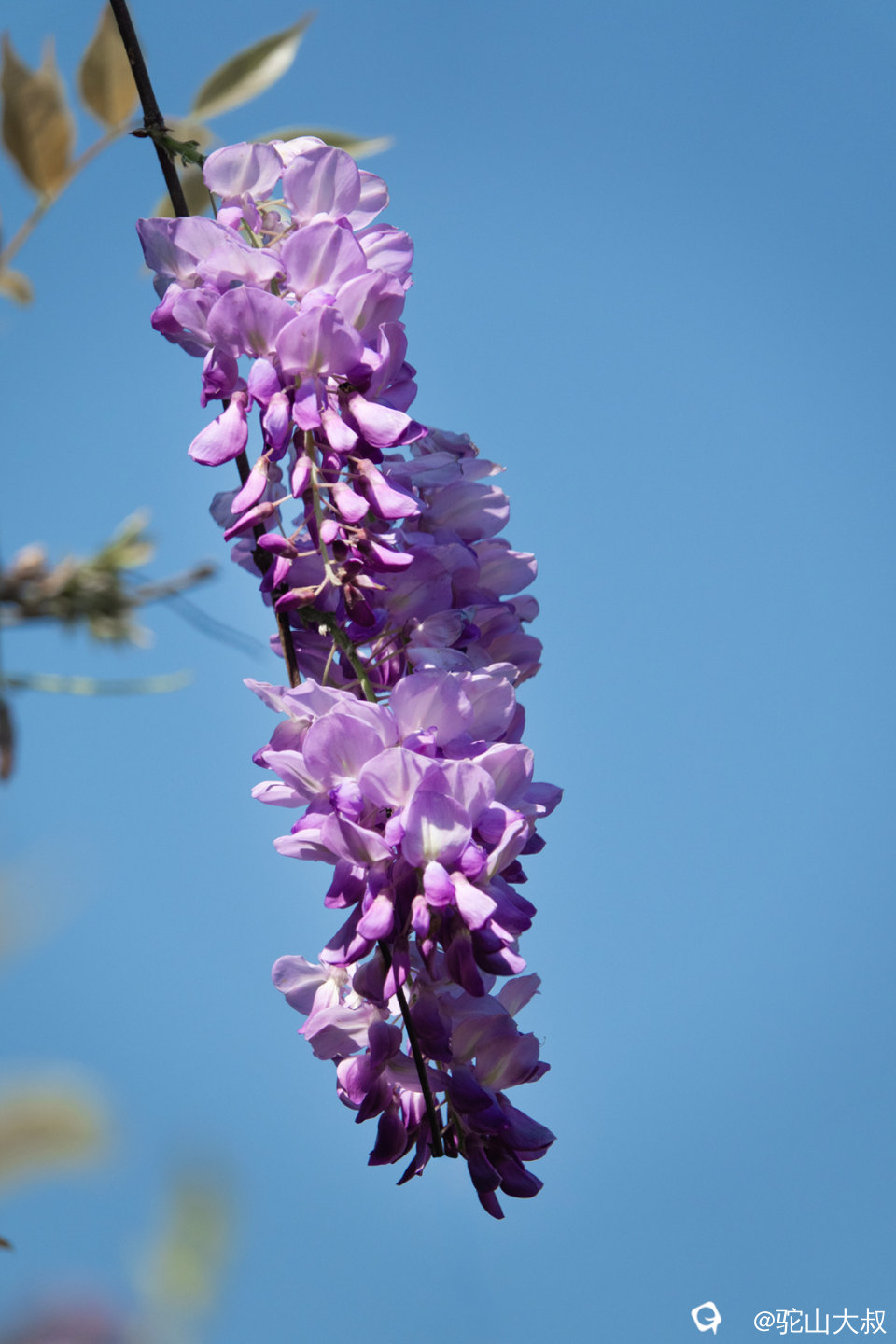 DSC01534-0 - 副本.jpg