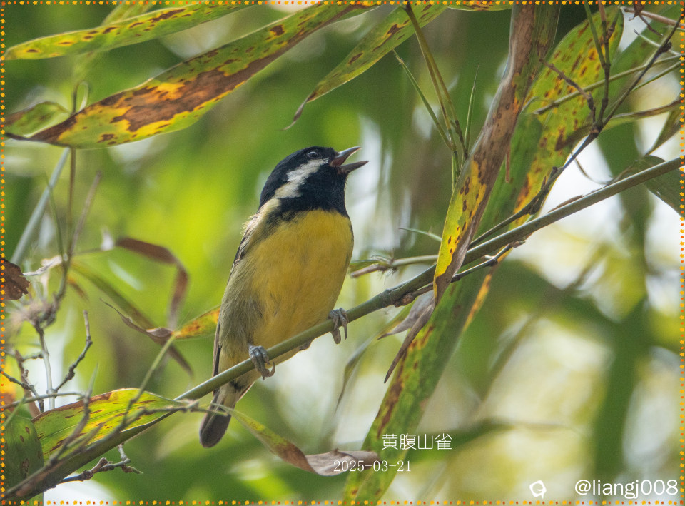 DSC08803_副本_副本.jpg