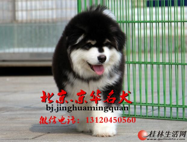 �����Լҷ�ֳ���ְ���˹����Ȯ���� �������뱣����