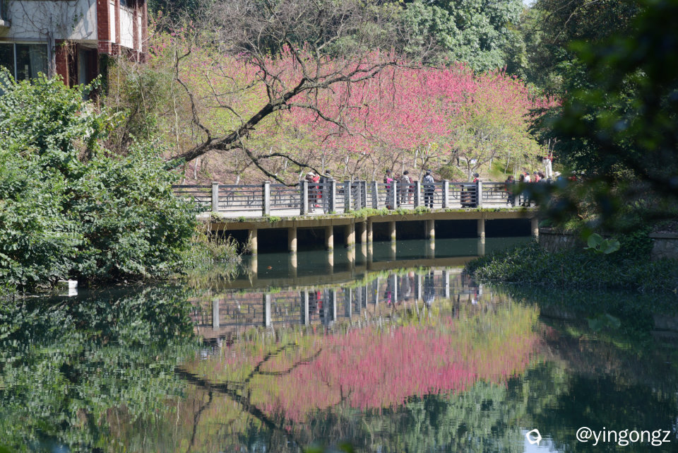 DSC_7167_副本.jpg