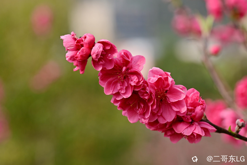 EGD_9147_副本.jpg