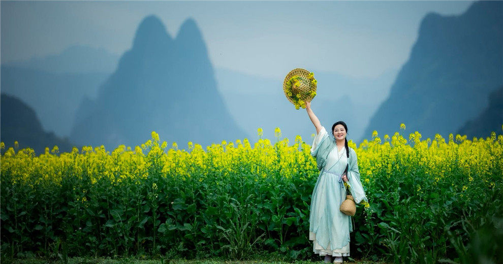 金鸡河油菜花开