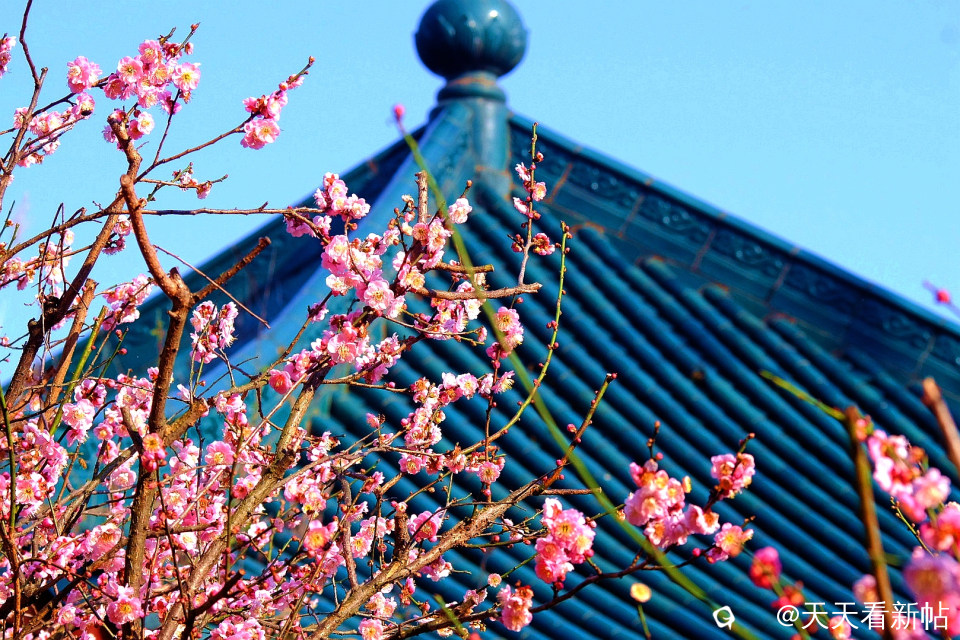 IMG_20240212_210649_副本.jpg