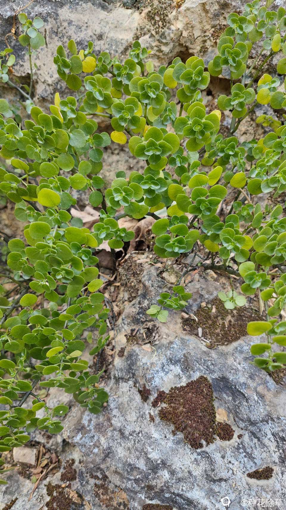 求教大神 (2).jpg