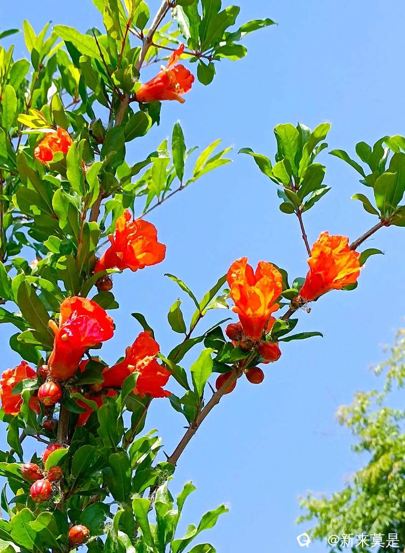 u=3181254948,891604724&fm=253&app=138&f=JPEG.jpg