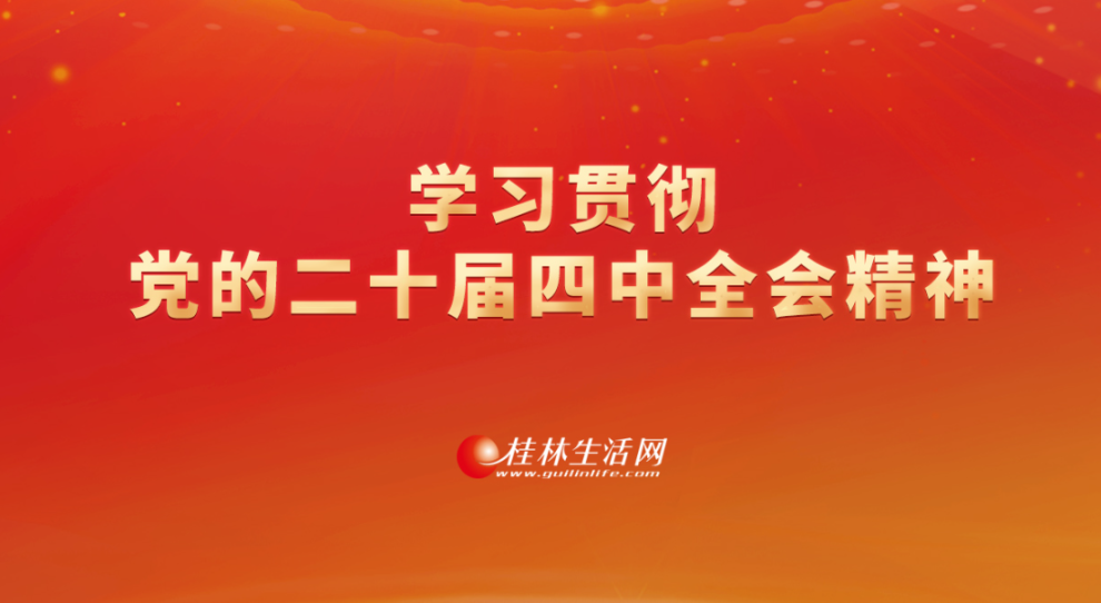 学习贯彻党的二十届四中全会精神