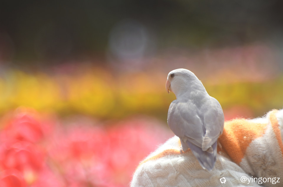 DSC_5401_副本.jpg