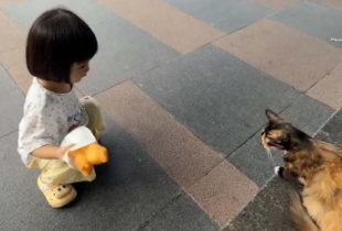 &ldquo;要吃吗?自己买! &rdquo;  小孩姐投喂猫咪，竟直接丢1块钱让它自己买   猫咪:我是要饭，不是要饭的!