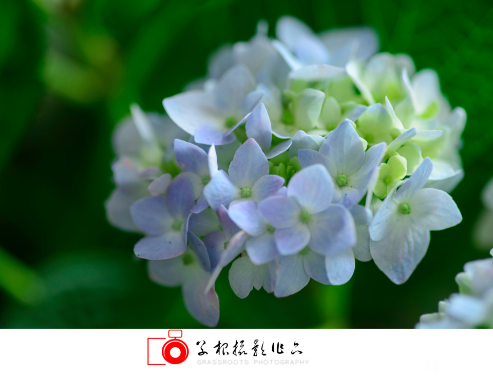 _DSC7805 拷贝_副本.jpg