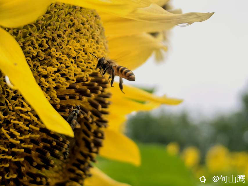 eb8af063-eed9-2354-db9c-06f99bee53d5.jpg