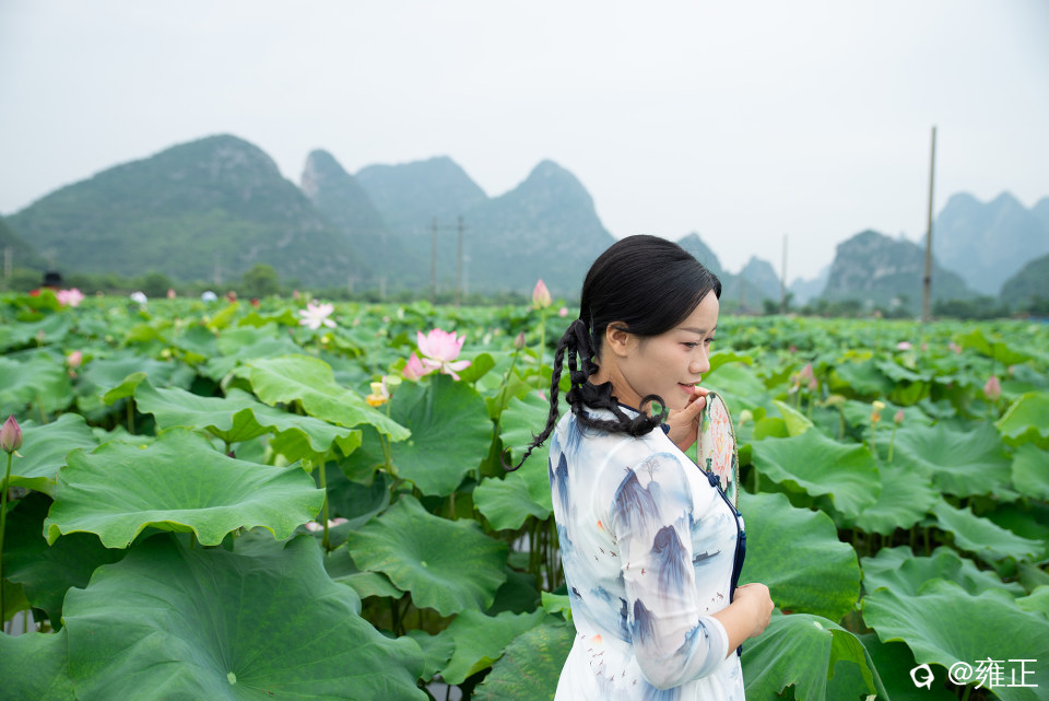 可留言预约拍摄